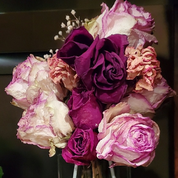 Meet your Posher, Tanya - Picture 1 of 1